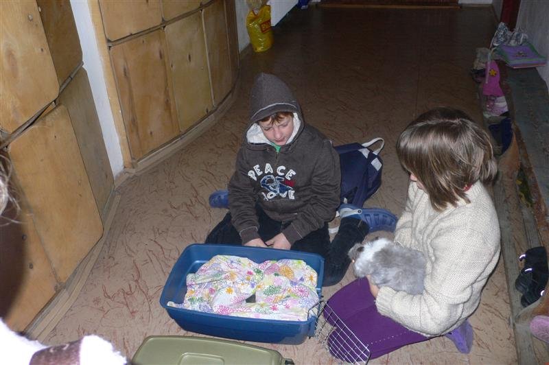 V rannom klube tento deň čakali aj zvieratká. 