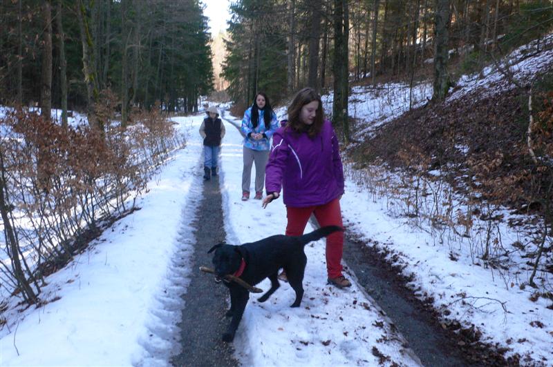 Nelyžuješ? Aj tak sa zdravému vzduchu a pohybu nevyhneš...